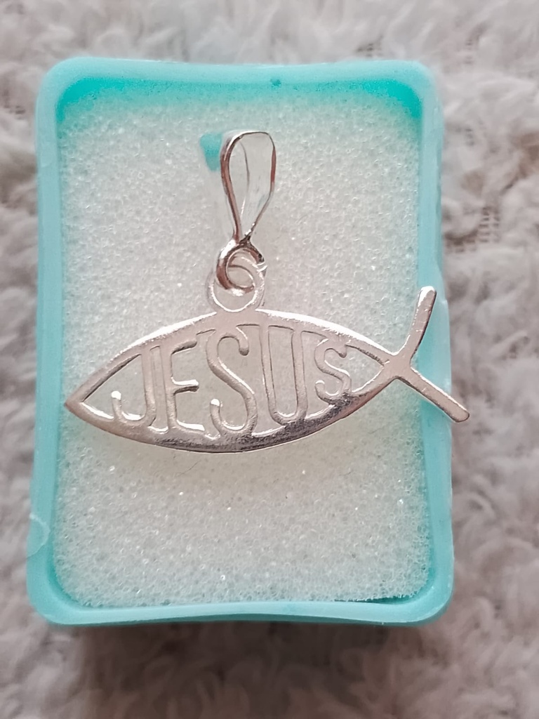 Dije Pez Cristiano 2X3 Plata .925